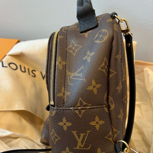 LOUIS VUITTON (LV) PALM SPRINGS MINI BACKPACK - Picture 7 of 14